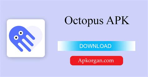 octopus setup latest version download